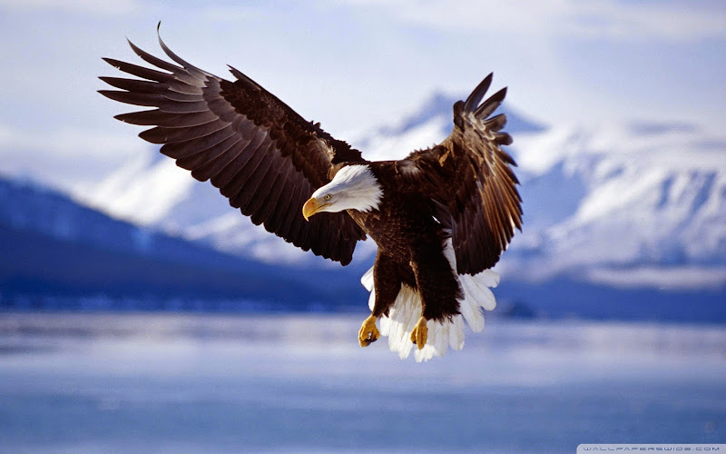 AF1QipMFpbrVfLvmcYnw1tk-S9tsFBcNp2dLfD3AROpLw800-h500-k-no.jpg