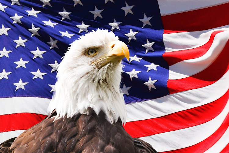 AF1QipNX7Ul5bZUNxGTa264dbxESfMGpeZep0D8F9aUHw800-h500-k-no.jpg