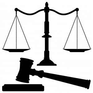 AF1QipOCFxzAoFZ-OxsbXb-IkPBcirIrO7SuxJ4z4TB-w800-h500-k-no.png