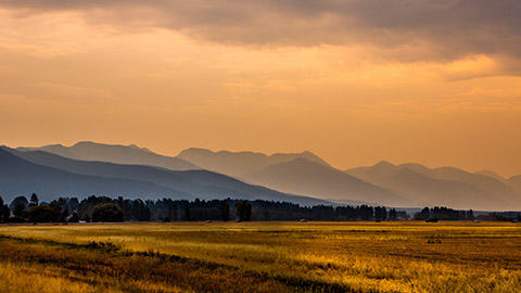 AF1QipP4yY07d-eEX3hAtq0uvm25tW6-0pN4zKdxivIow800-h500-k-no.jpg