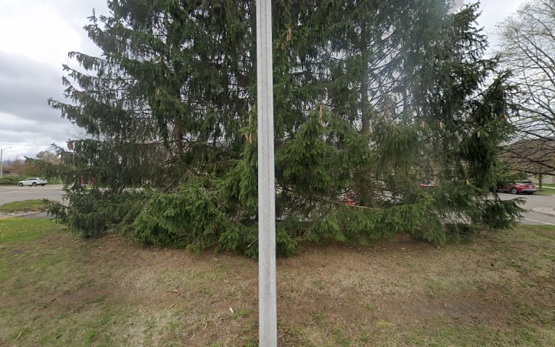 thumbnail-5304.jpg