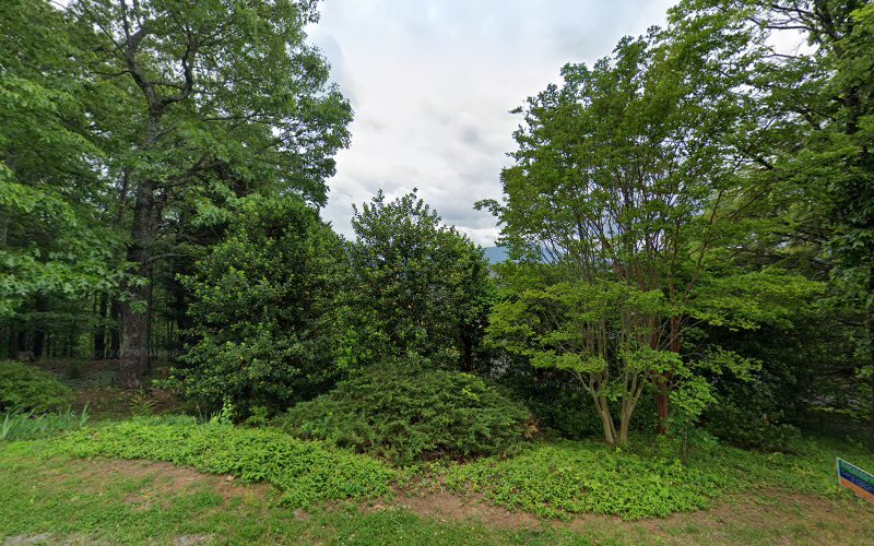 thumbnail-9009.jpg
